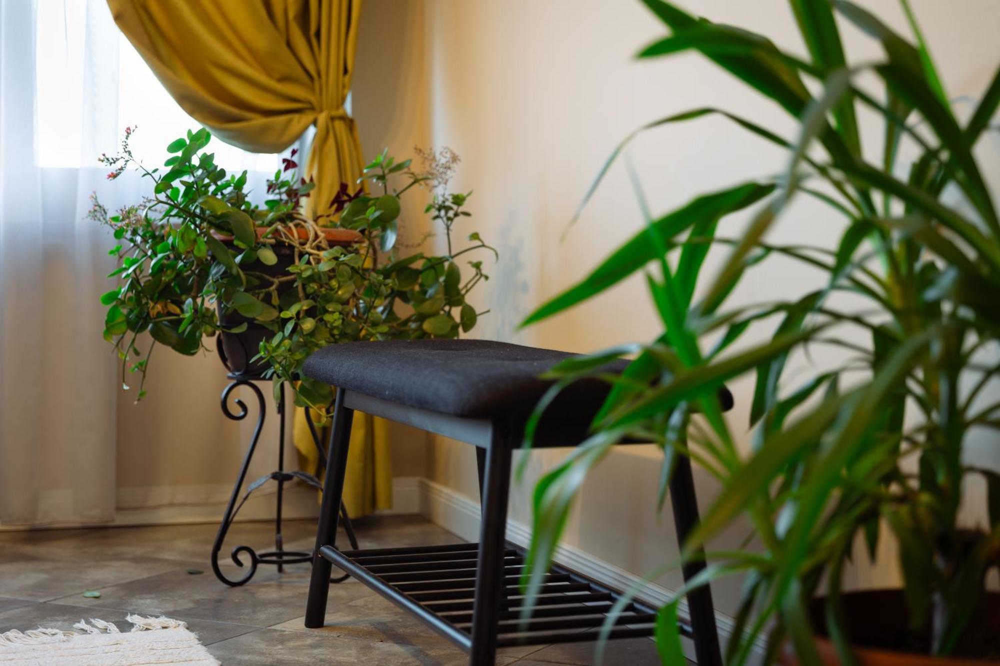 Dervent Apartment Велико-Тирново Екстер'єр фото